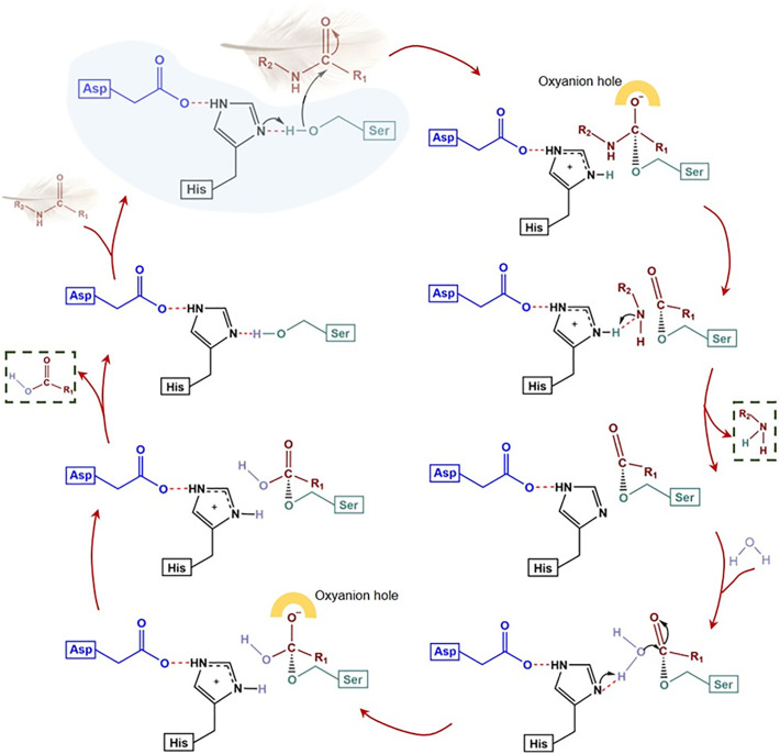 Fig. 7