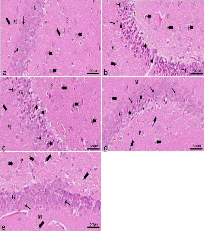Fig. 7