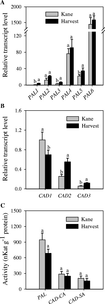 Fig. 5