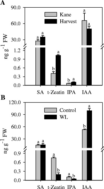 Fig. 8