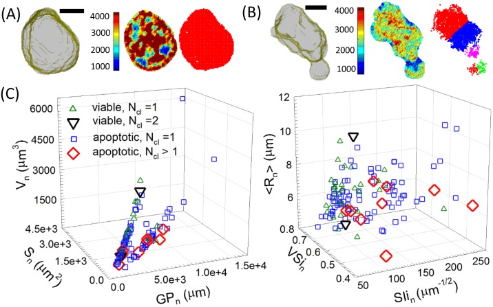 Fig 4