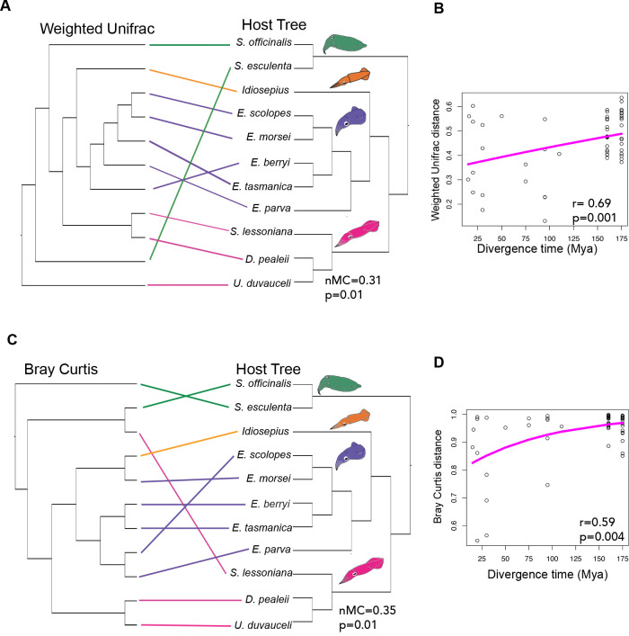 Fig 6