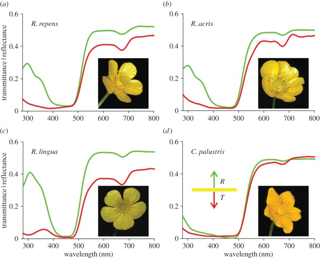 Figure 1.