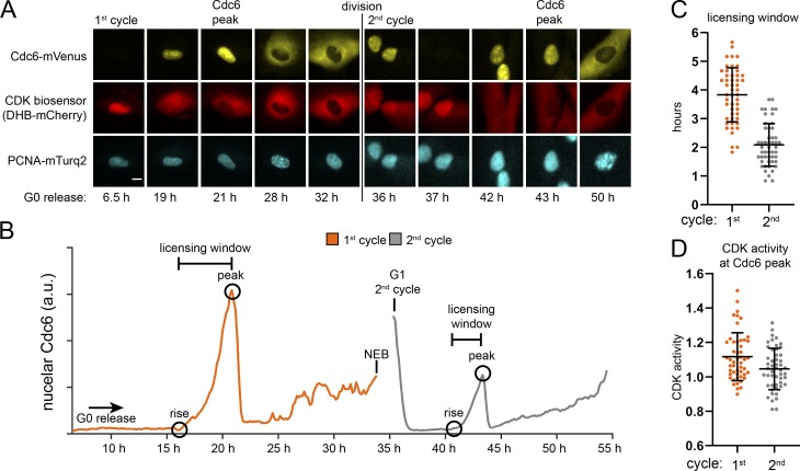 Figure 6.