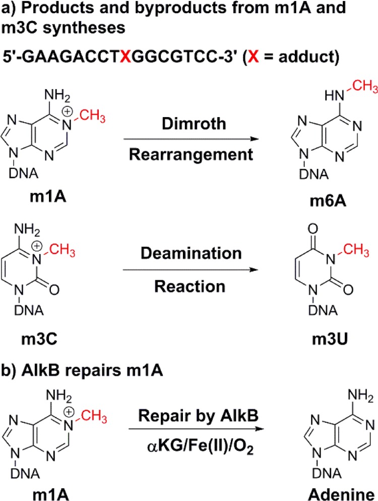 Characterization Of Byproducts From Chemical Syntheses Of 