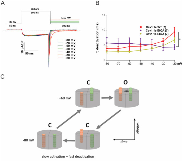 Figure 5—figure supplement 1.