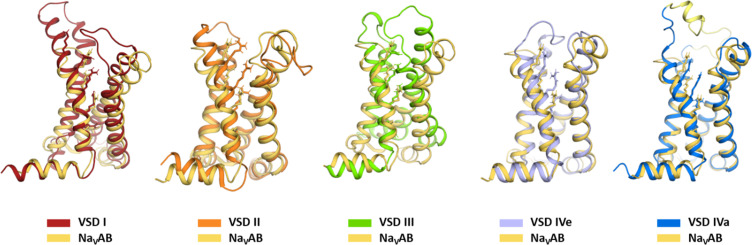 Figure 1—figure supplement 1.