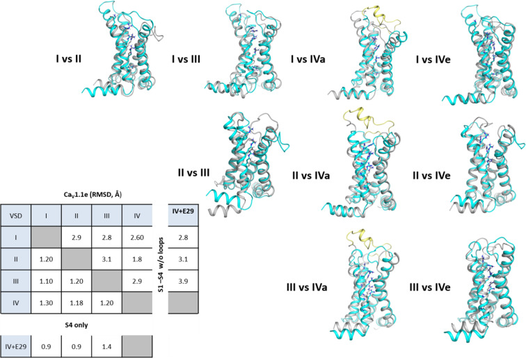 Figure 1—figure supplement 2.