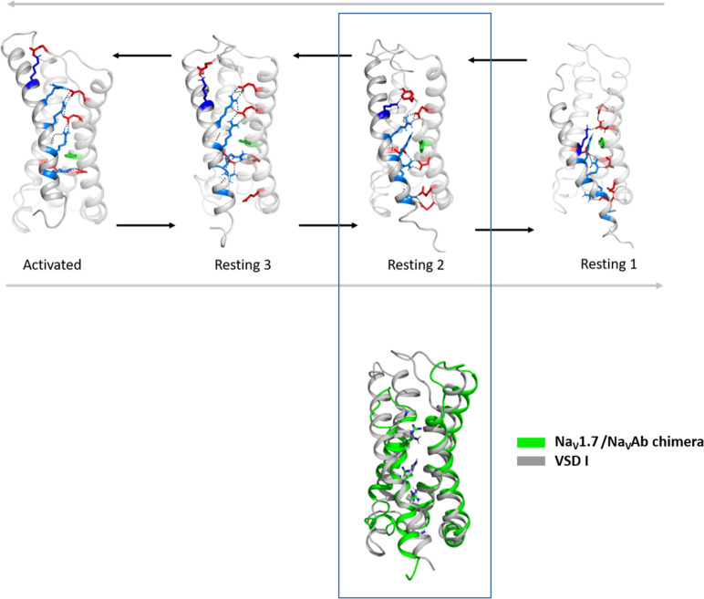 Figure 2—figure supplement 4.