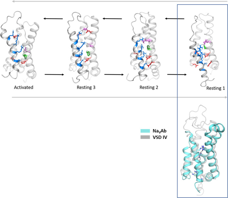 Figure 2—figure supplement 5.