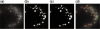 Fig. 3.