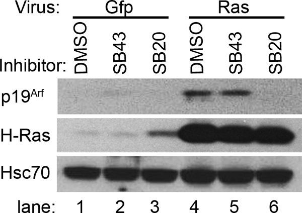 FIGURE 9.