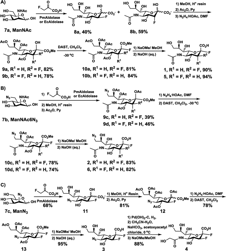 Scheme 1.