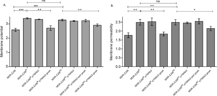 FIG 2