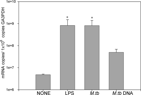 FIG. 5.