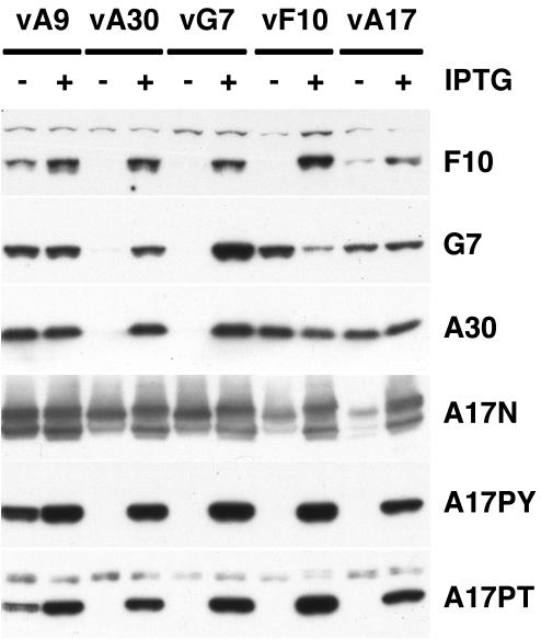 FIG. 6.