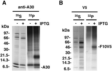 FIG. 5.