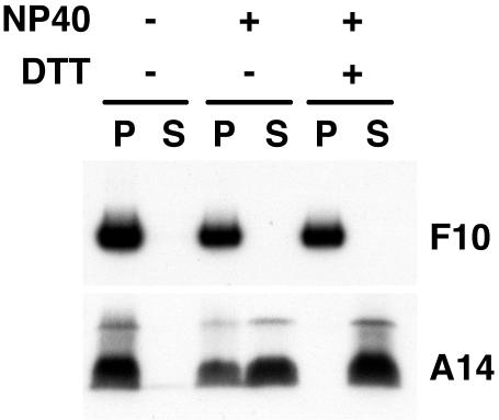 FIG. 9.