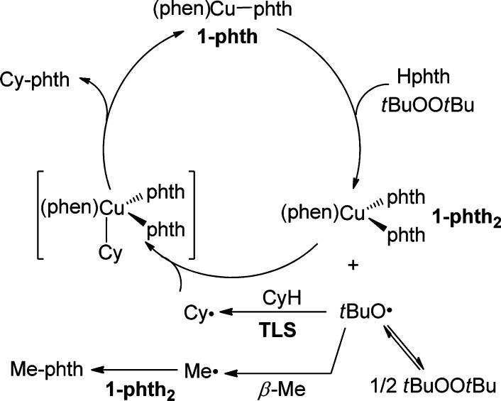 Scheme 9