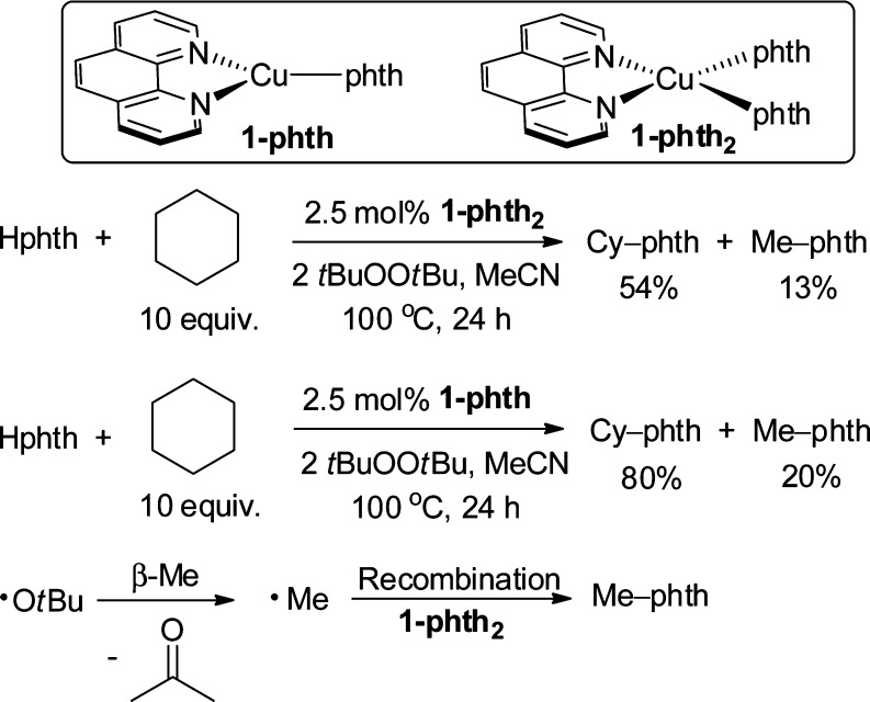 Scheme 3