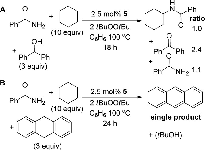 Scheme 6