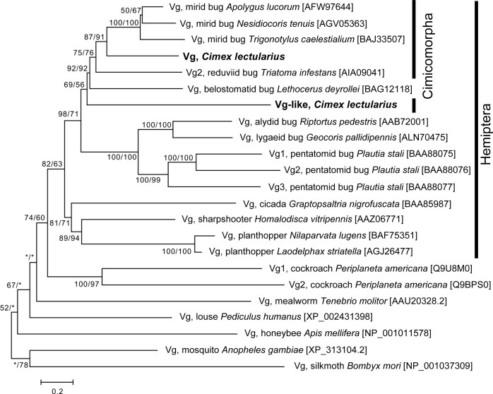 Fig 2