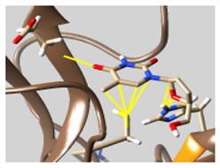 graphic file with name molecules-26-07458-i046.jpg