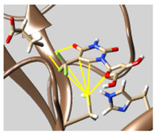 graphic file with name molecules-26-07458-i042.jpg