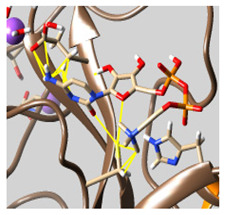 graphic file with name molecules-26-07458-i060.jpg