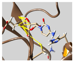 graphic file with name molecules-26-07458-i038.jpg