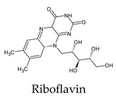 graphic file with name molecules-26-07458-i004.jpg