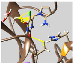 graphic file with name molecules-26-07458-i059.jpg