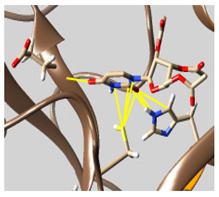 graphic file with name molecules-26-07458-i063.jpg