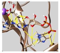 graphic file with name molecules-26-07458-i062.jpg