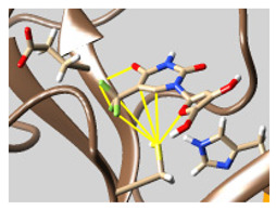 graphic file with name molecules-26-07458-i043.jpg