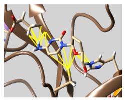 graphic file with name molecules-26-07458-i052.jpg