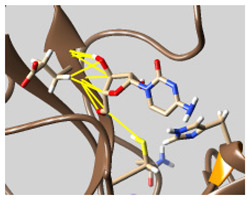 graphic file with name molecules-26-07458-i037.jpg