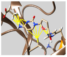 graphic file with name molecules-26-07458-i053.jpg