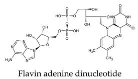 graphic file with name molecules-26-07458-i008.jpg