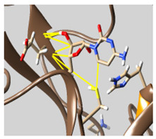 graphic file with name molecules-26-07458-i036.jpg