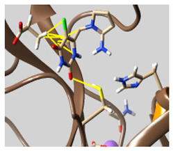 graphic file with name molecules-26-07458-i058.jpg