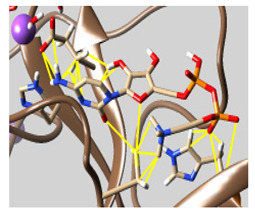 graphic file with name molecules-26-07458-i061.jpg