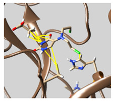 graphic file with name molecules-26-07458-i033.jpg