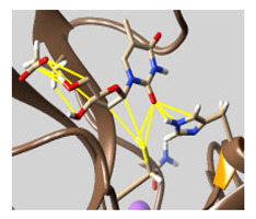 graphic file with name molecules-26-07458-i054.jpg