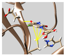 graphic file with name molecules-26-07458-i039.jpg