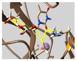 graphic file with name molecules-26-07458-i055.jpg