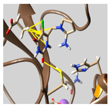 graphic file with name molecules-26-07458-i057.jpg