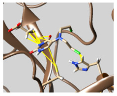 graphic file with name molecules-26-07458-i035.jpg