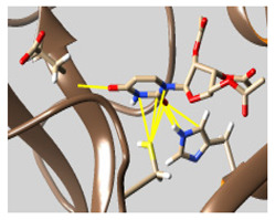 graphic file with name molecules-26-07458-i064.jpg