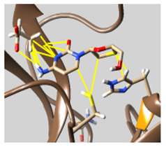 graphic file with name molecules-26-07458-i050.jpg